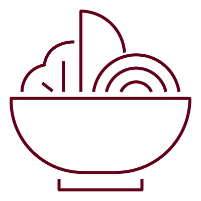 Seagulls pictogram