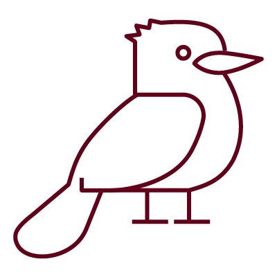 Seagulls pictogram