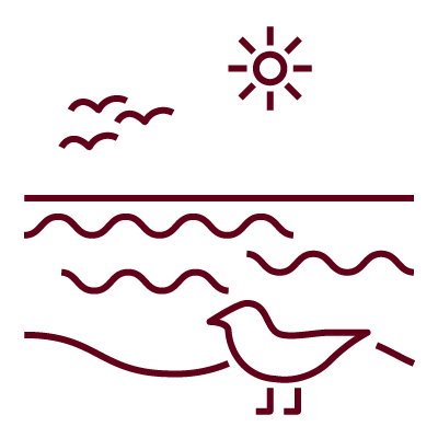 Seagulls pictogram