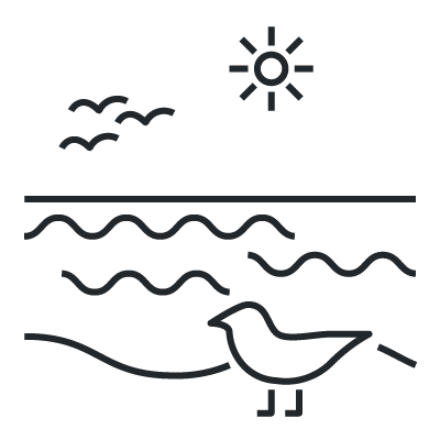 Seagulls pictogram