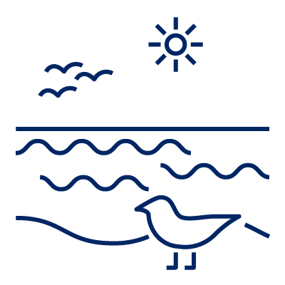 Seagulls pictogram